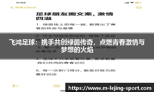 飞鸿足球：携手共创绿茵传奇，点燃青春激情与梦想的火焰